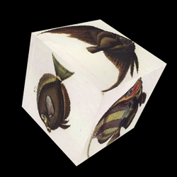 cube